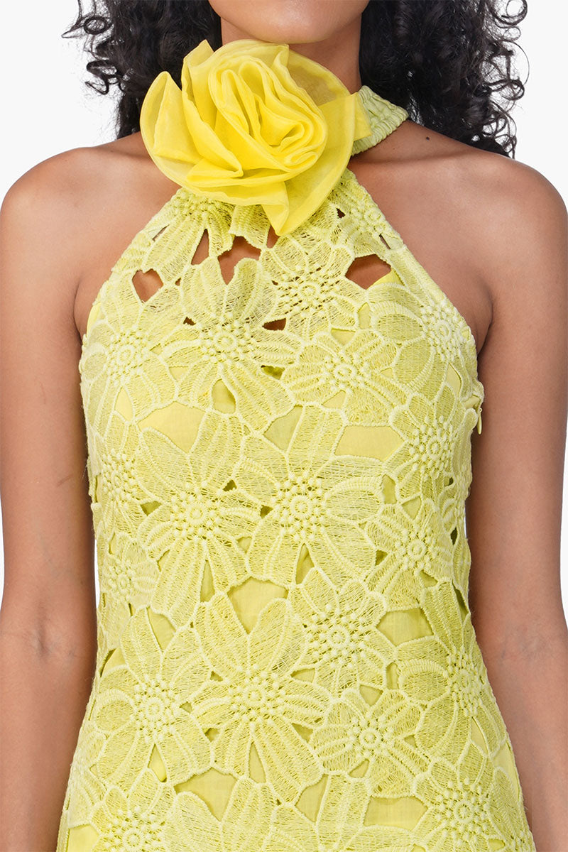 Fall For Neon Crosage Floral Halter Dress