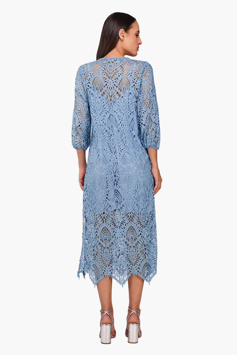 Perivale Lace Net Dress