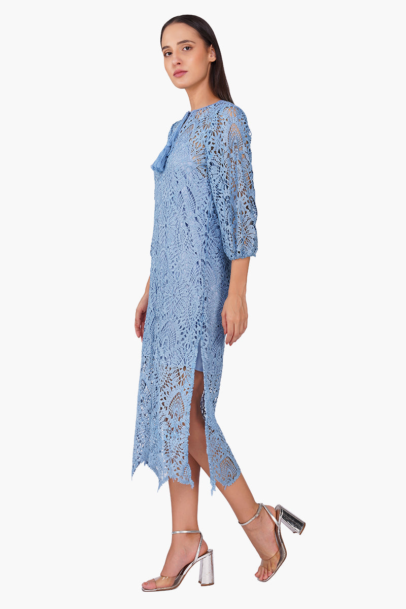 Perivale Lace Net Dress