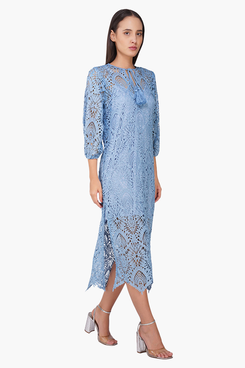 Perivale Lace Net Dress
