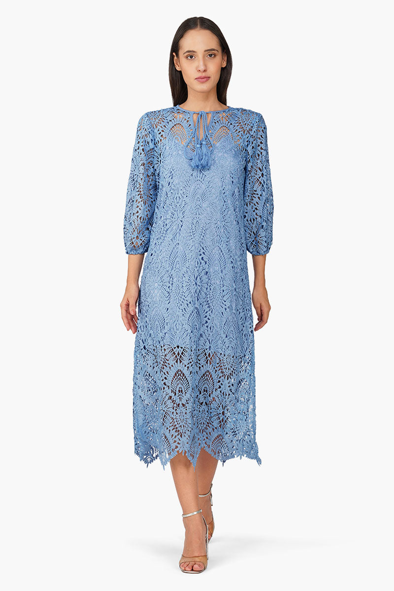 Perivale Lace Net Dress