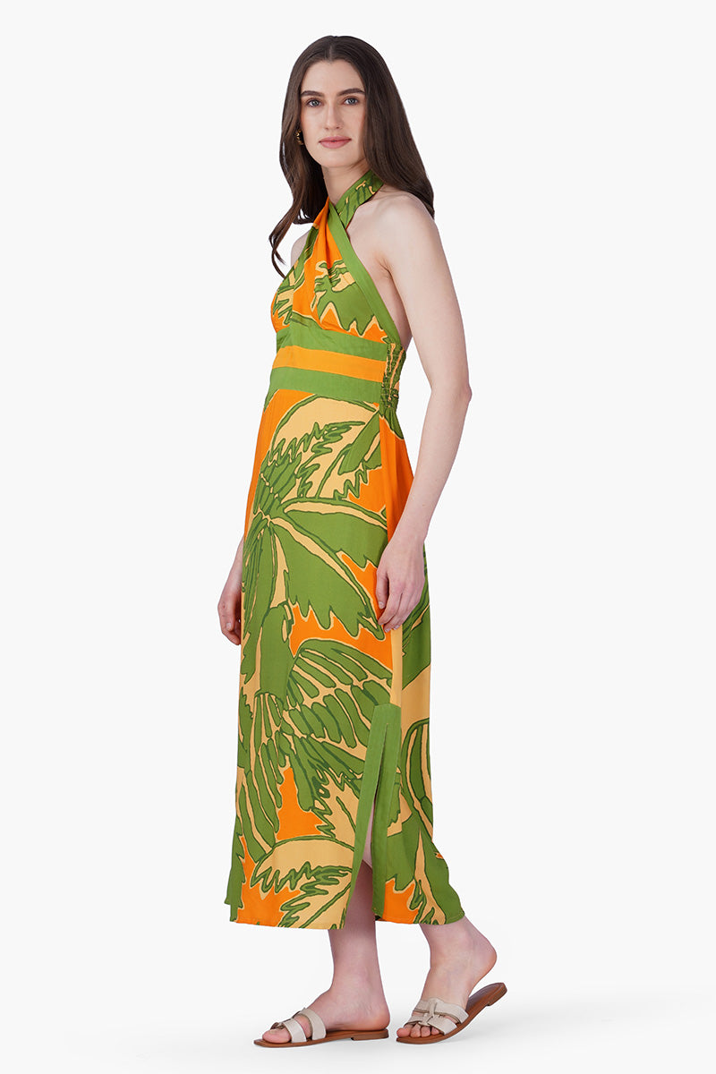 Lime Sun Toucan Printed Halter Dress