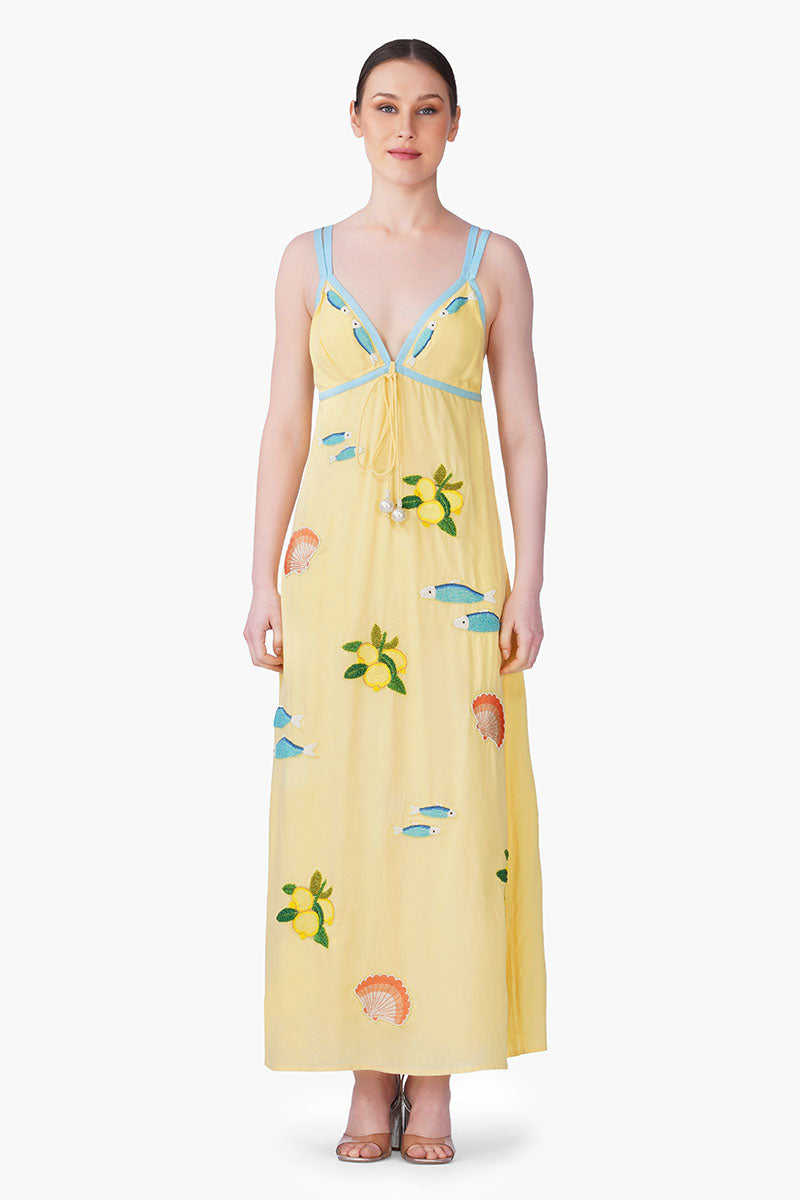 America & Beyond Women's Sardine Citrus Embroidered Dress