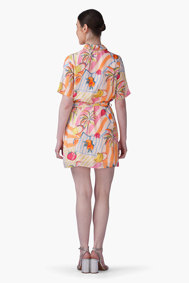 Fruit Berry Pop Shirt Dress