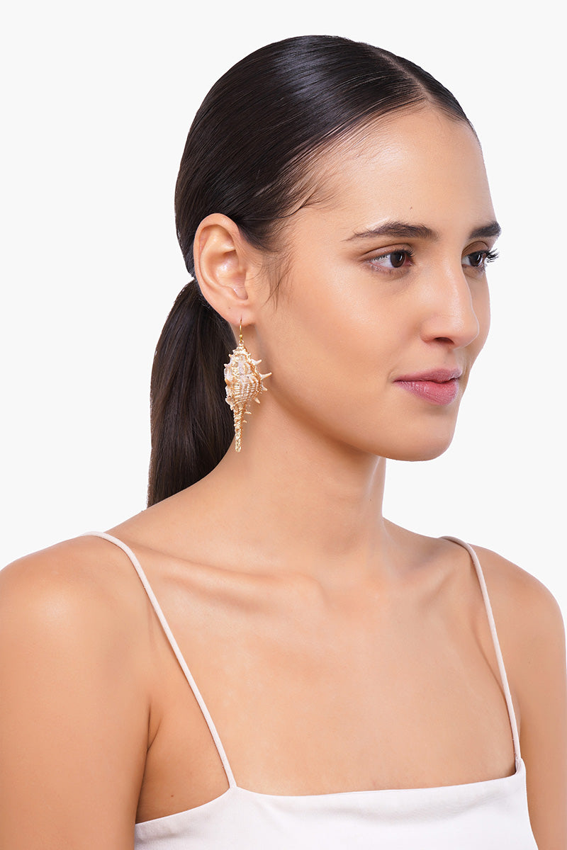 Conch Earrings