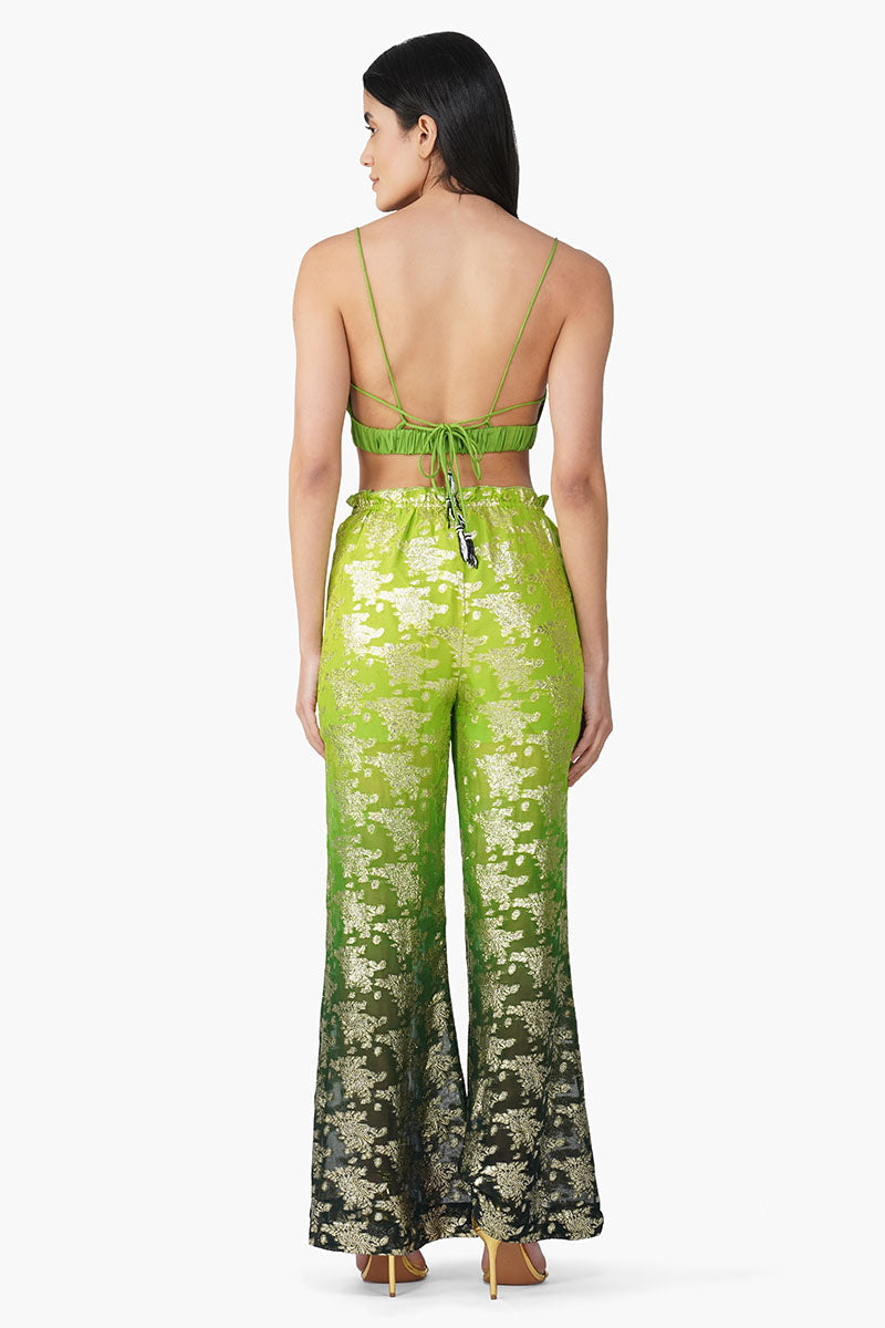 Flying Macaw Embellished Top