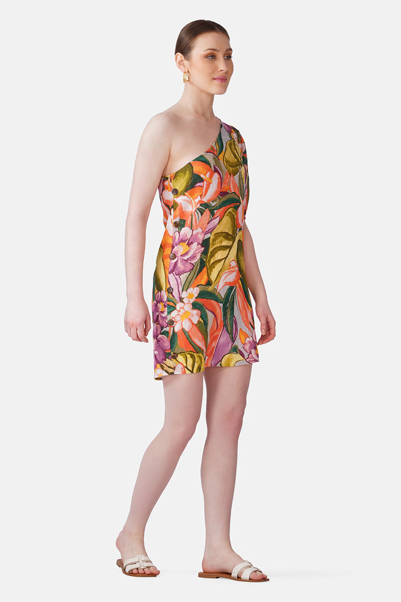 Multi Heaven Farm Printed One Shoulder Dress