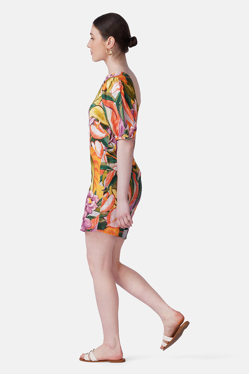 Multi Heaven Farm Printed One Shoulder Dress