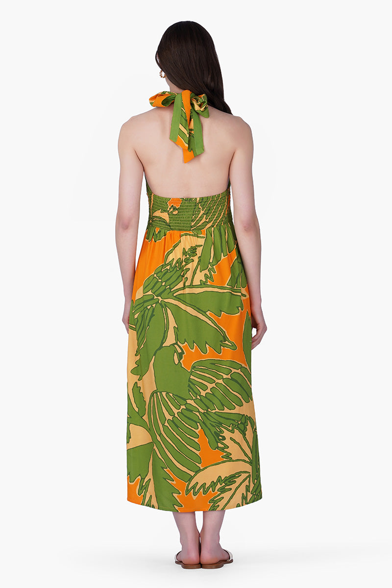 Lime Sun Toucan Printed Halter Dress