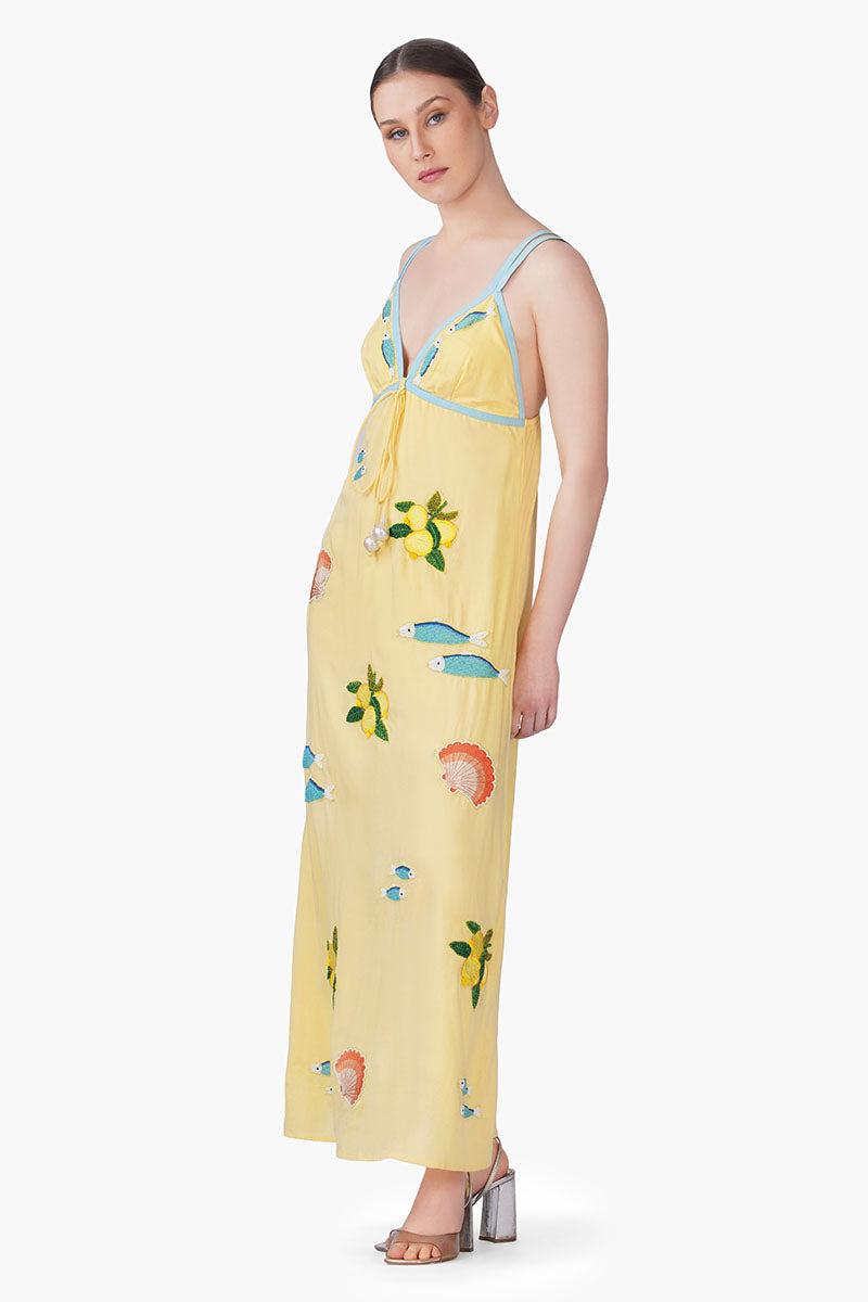 Sardine Citrus Embroidered Dress