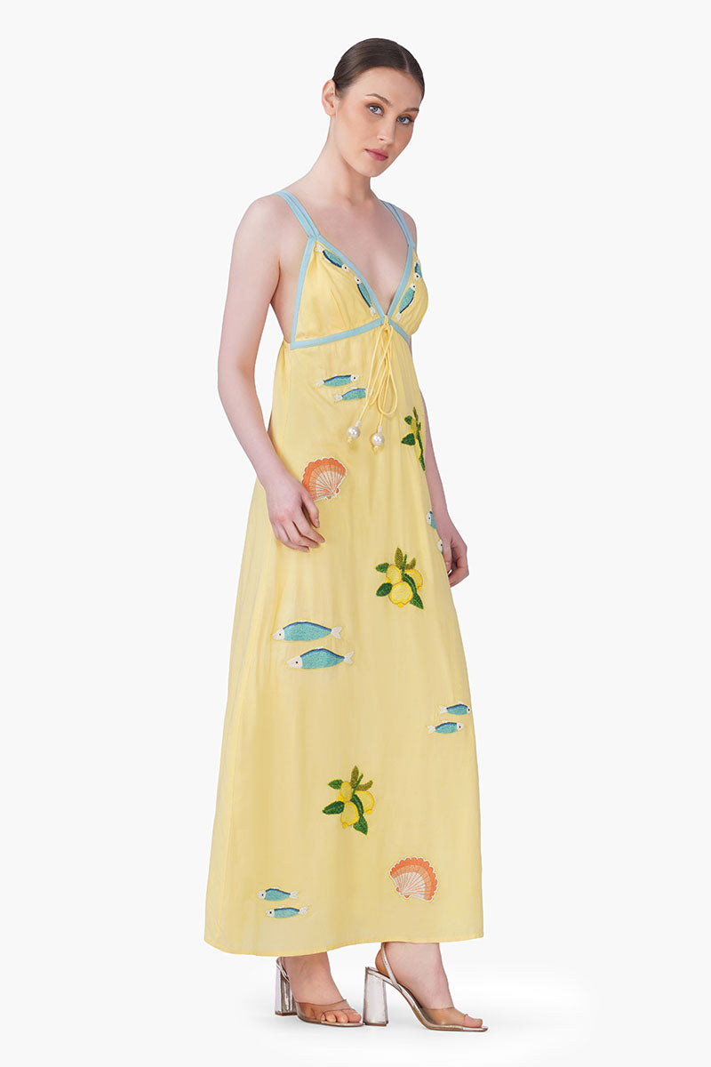 Sardine Citrus Embroidered Dress | View 3
