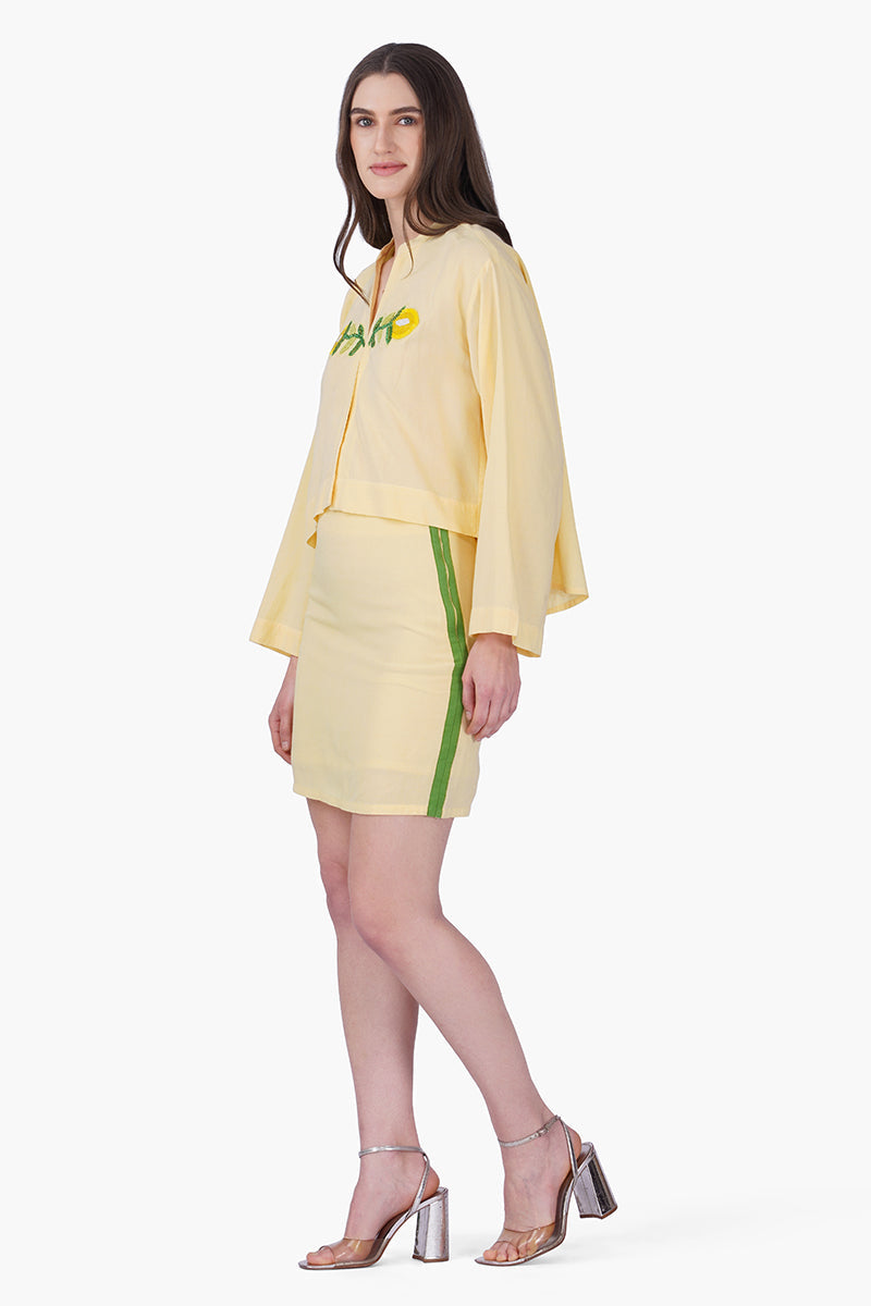 Lemonade Embroidered Yellow Flared Top | View 4