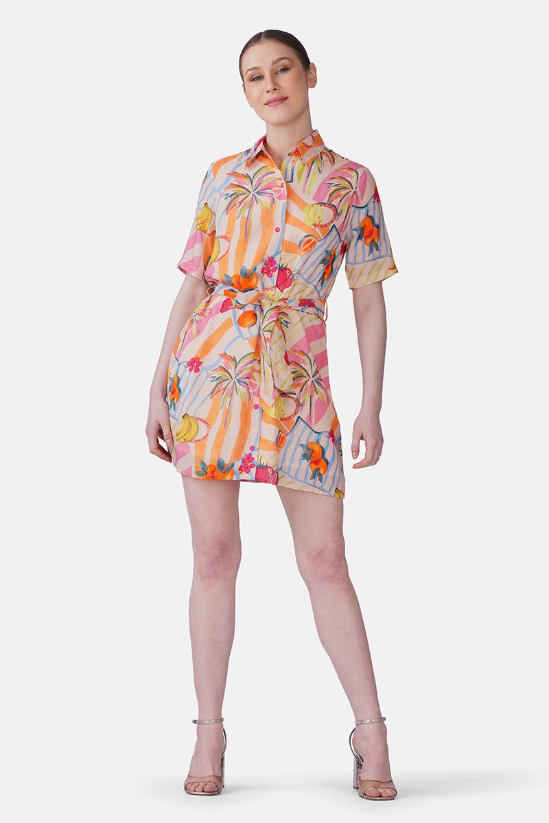 Fruit Berry Pop Shirt Dress