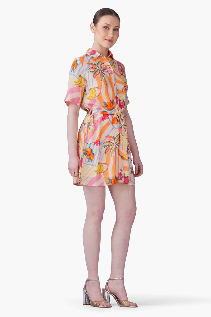Fruit Berry Pop Shirt Dress