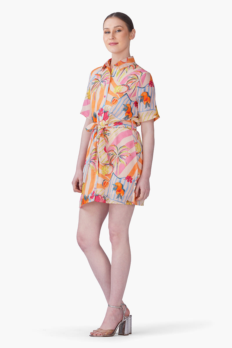 Fruit Berry Pop Shirt Dress