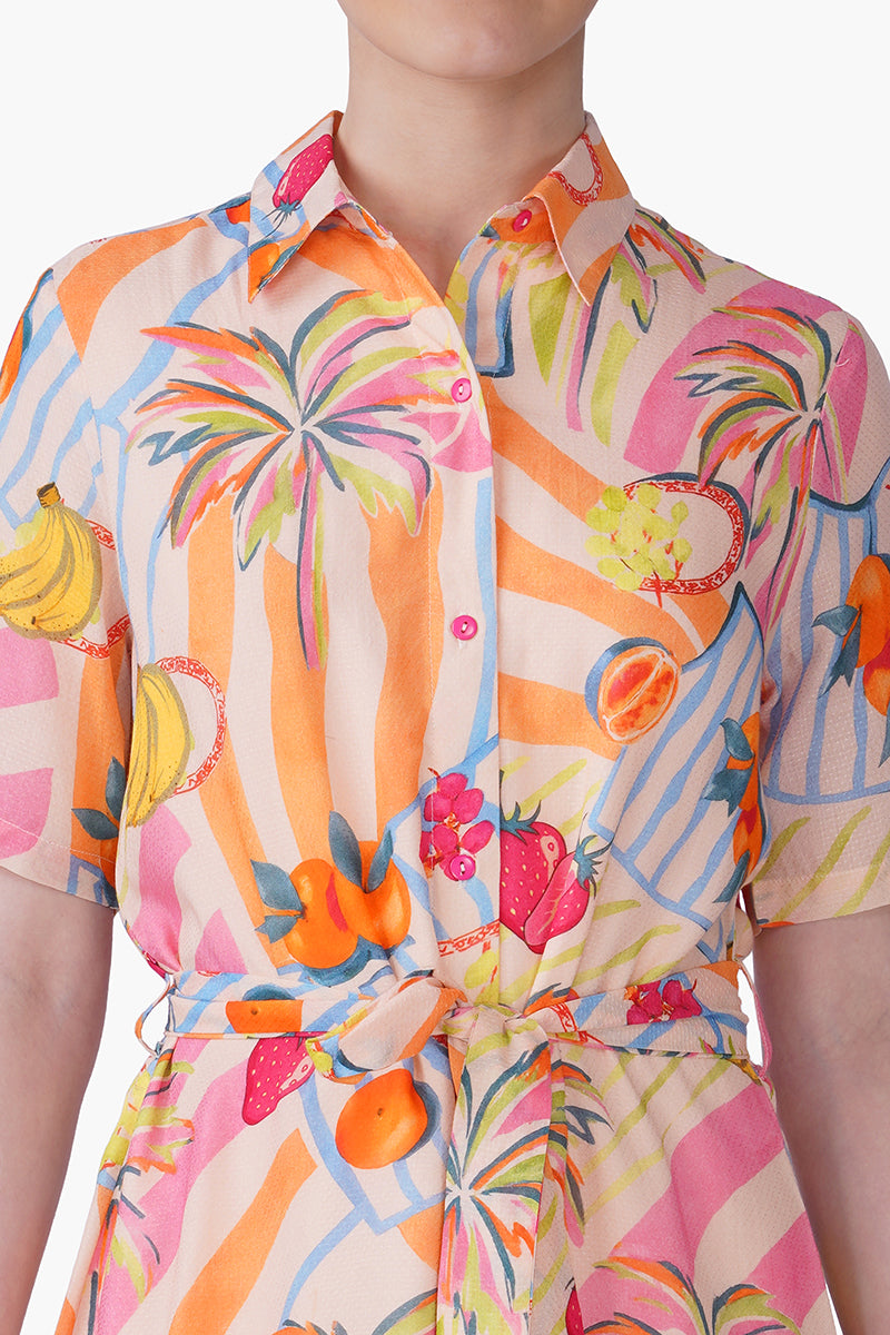 Fruit Berry Pop Shirt Dress